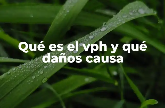 Qué es el Vph y Qué Daños Causa