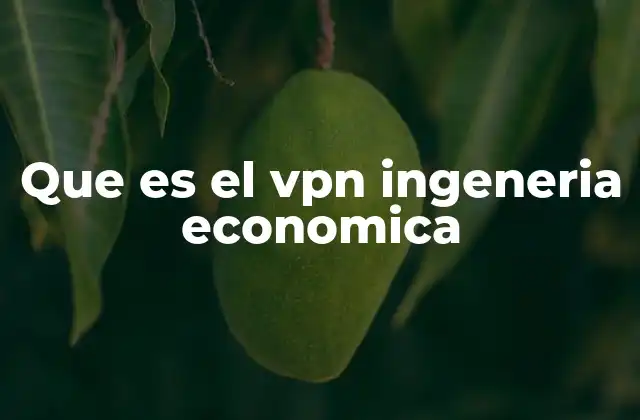Que es el Vpn Ingeneria Economica