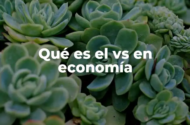 Qué es el Vs en Economía