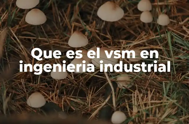Que es el Vsm en Ingenieria Industrial