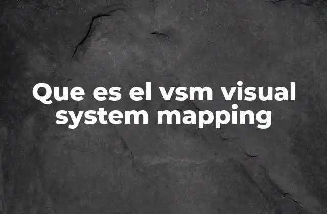 Que es el Vsm Visual System Mapping