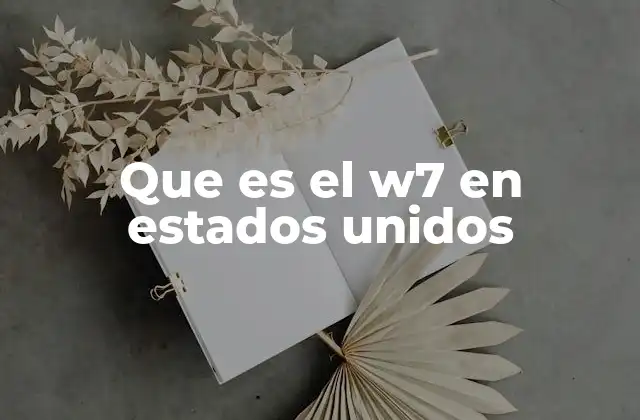 Que es el W7 en Estados Unidos