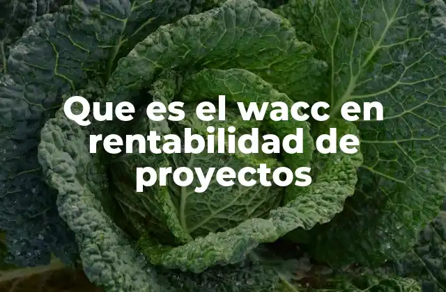 Que es el Wacc en Rentabilidad de Proyectos