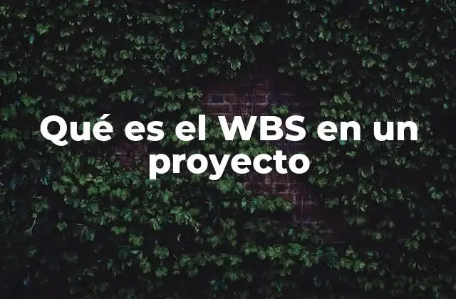 Qué es el Wbs en un Proyecto