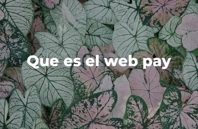 Que es el Web Pay