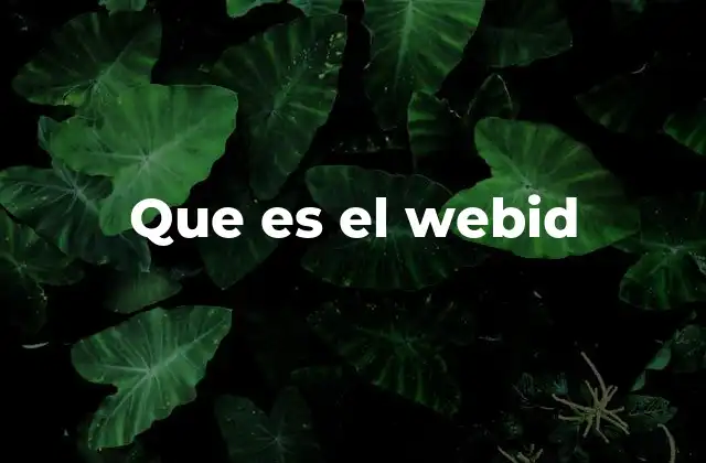Que es el Webid