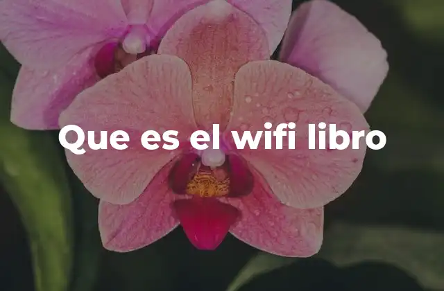 Que es el Wifi Libro
