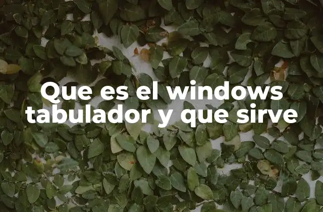 Tabuladores como herramienta de organización en el entorno Windows