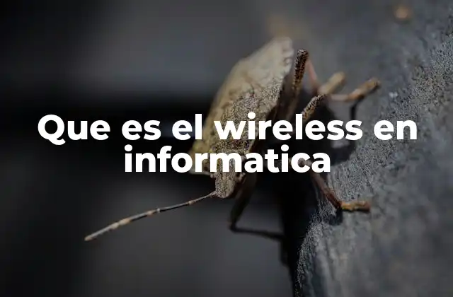 Que es el Wireless en Informatica