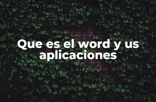 Que es el Word y Us Aplicaciones