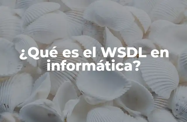 ¿qué es el Wsdl en Informática?