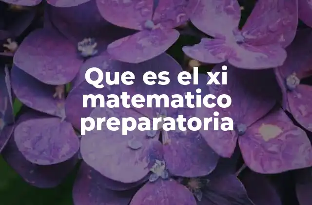 Que es el Xi Matematico Preparatoria