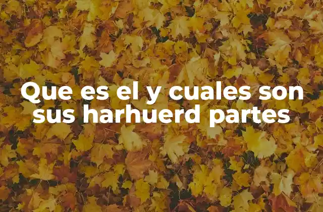 Que es el y Cuales Son Sus Harhuerd Partes