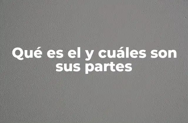 Qué es el y Cuáles Son Sus Partes