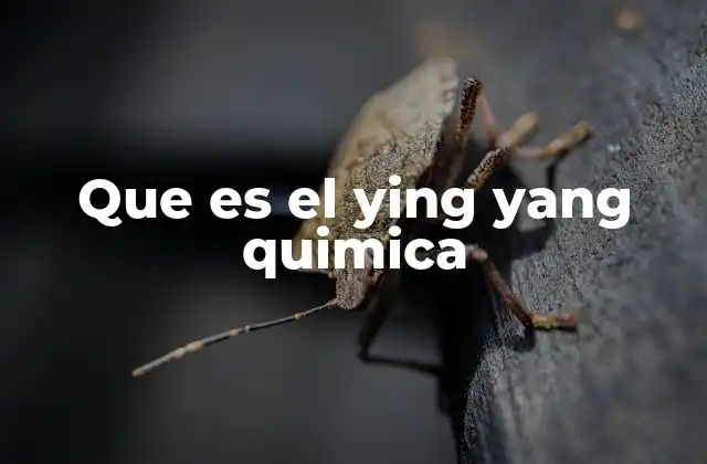 Que es el Ying Yang Quimica 2 La dualidad en la química y su importancia