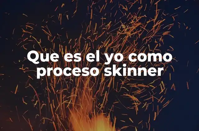 Que es el Yo como Proceso Skinner