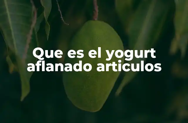 Que es el Yogurt Aflanado Articulos