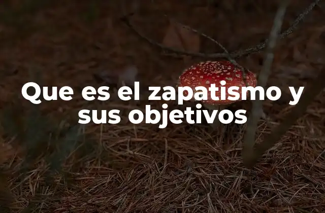 Que es el Zapatismo y Sus Objetivos