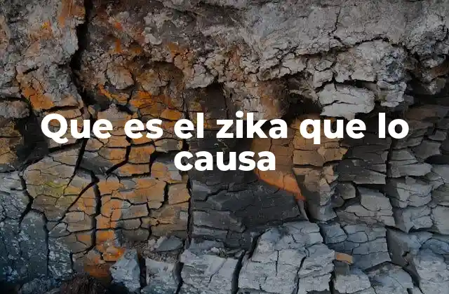 Que es el Zika que Lo Causa
