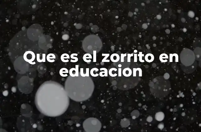 Que es el Zorrito en Educacion