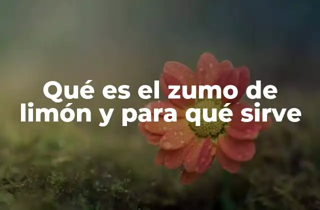 Qué es el Zumo de Limón y para Qué Sirve 2 El zumo de limón en la historia y en la cultura