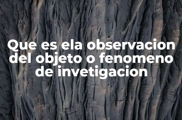 Que es Ela Observacion Del Objeto o Fenomeno de Invetigacion