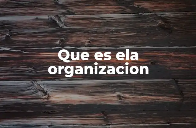 Que es Ela Organizacion