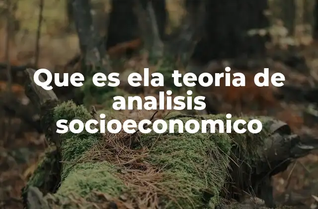 Que es Ela Teoria de Analisis Socioeconomico