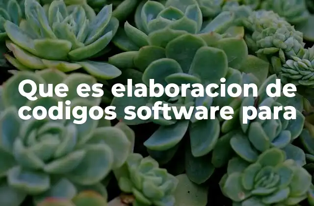 Que es Elaboracion de Codigos Software para