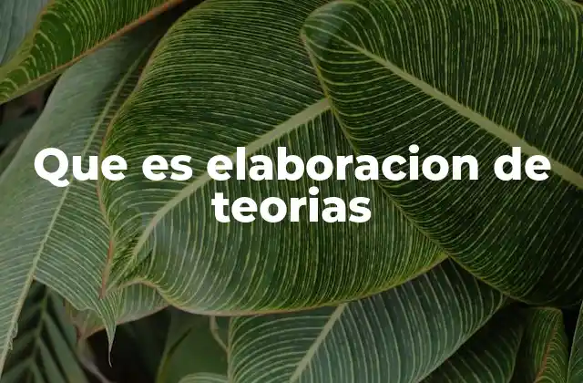 Que es Elaboracion de Teorias