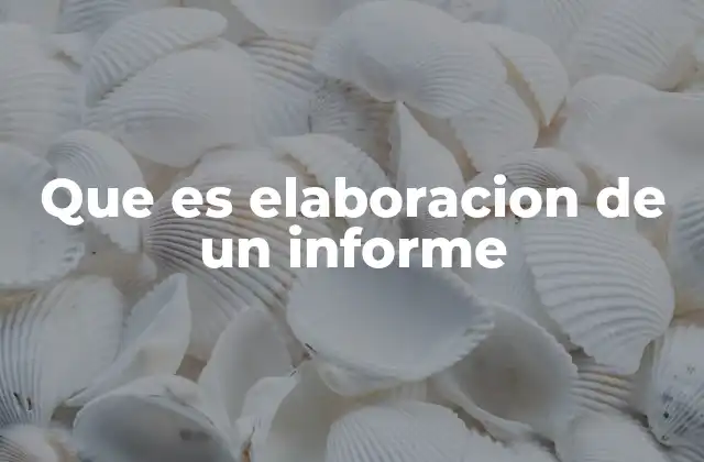 Que es Elaboracion de un Informe