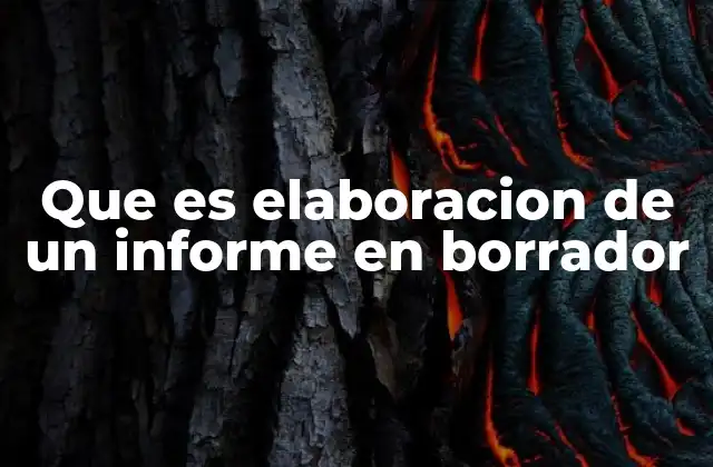 Que es Elaboracion de un Informe en Borrador
