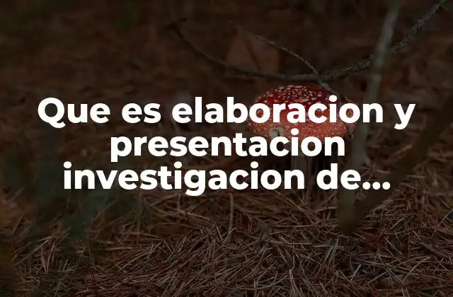 Que es Elaboracion y Presentacion Investigacion de Mercados