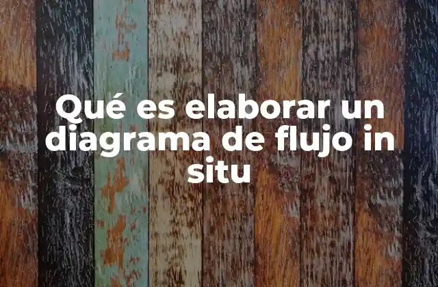 Qué es Elaborar un Diagrama de Flujo In Situ