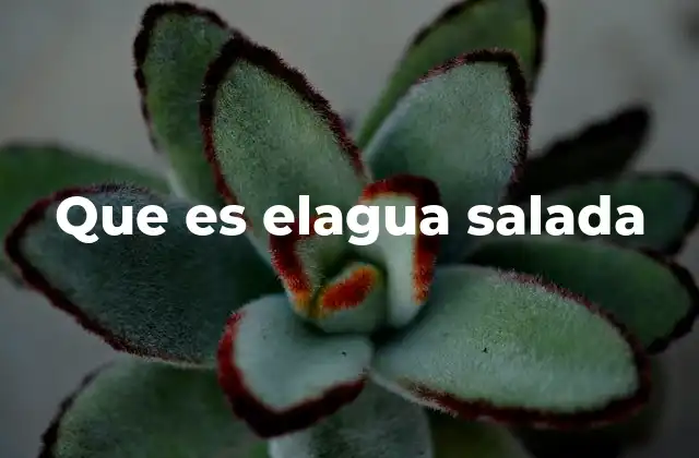 Que es Elagua Salada