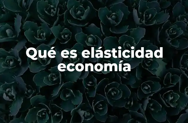 Qué es Elásticidad Economía