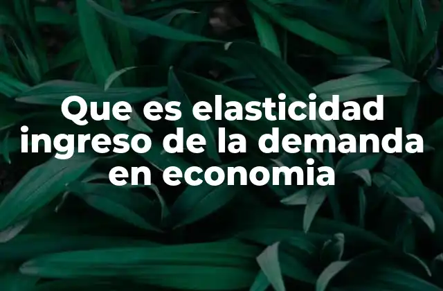 Que es Elasticidad Ingreso de la Demanda en Economia
