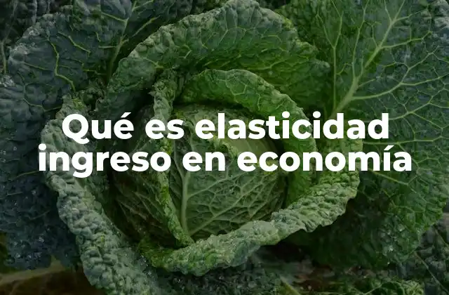 Qué es Elasticidad Ingreso en Economía 2 Cómo la elasticidad ingreso influye en la toma de decisiones económicas