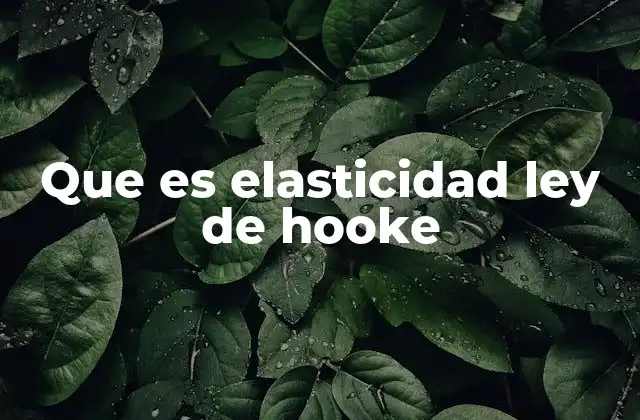 Que es Elasticidad Ley de Hooke