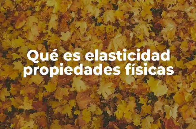 Qué es Elasticidad Propiedades Físicas