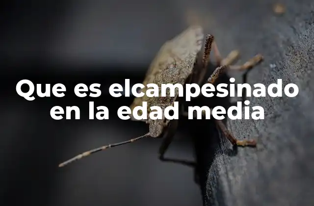 Que es Elcampesinado en la Edad Media