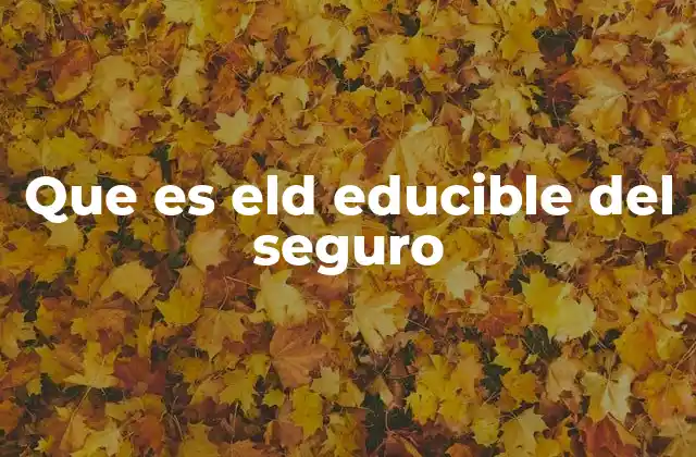 Que es Eld Educible Del Seguro