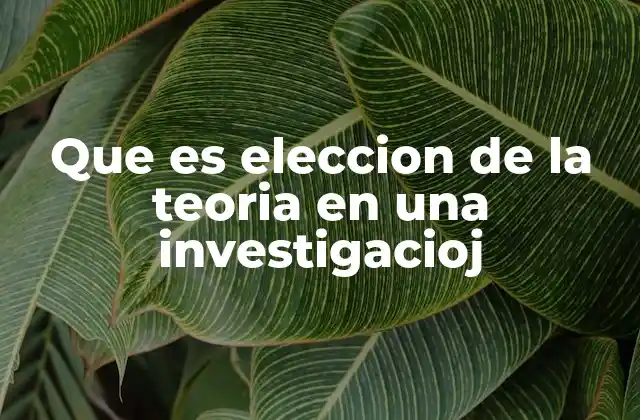Que es Eleccion de la Teoria en una Investigacioj