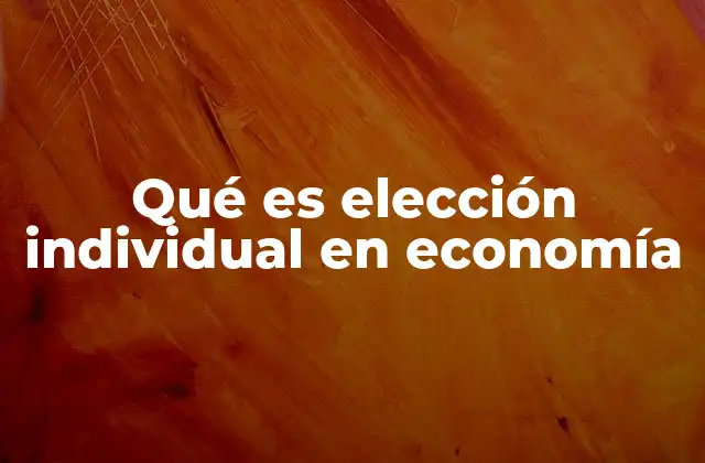 Qué es Elección Individual en Economía