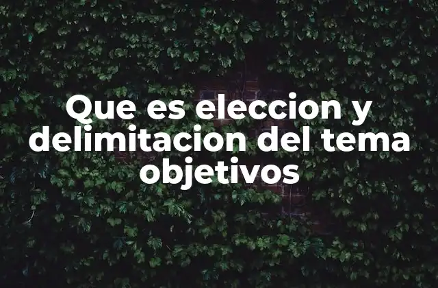 Que es Eleccion y Delimitacion Del Tema Objetivos