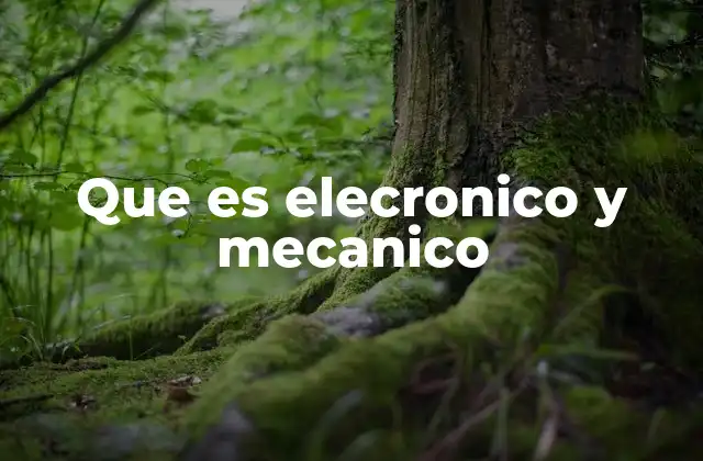 Que es Elecronico y Mecanico