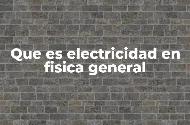 Que es Electricidad en Fisica General