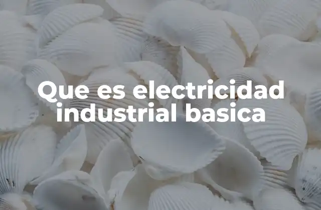 Que es Electricidad Industrial Basica