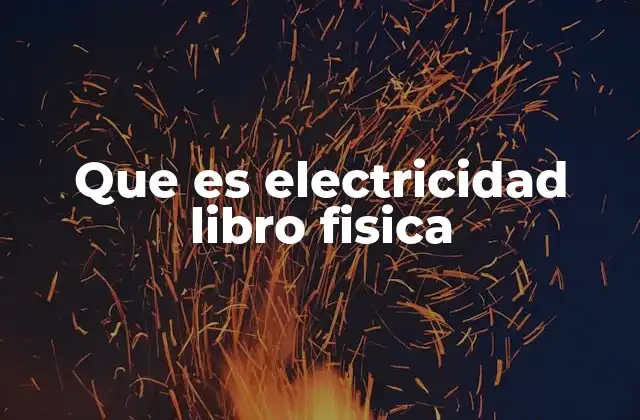 Que es Electricidad Libro Fisica