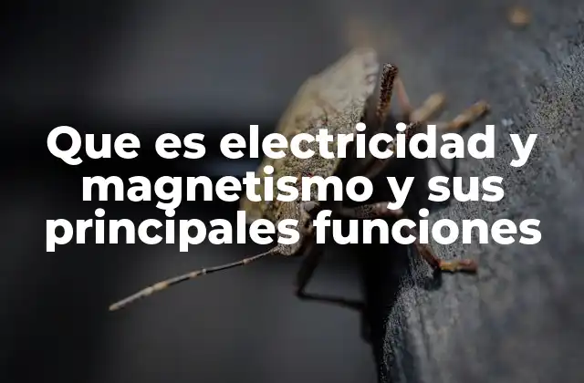 Que es Electricidad y Magnetismo y Sus Principales Funciones